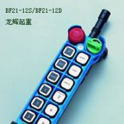 ̨ң-BF21-12D/BF21-12s Yuding explosion proof remote controller