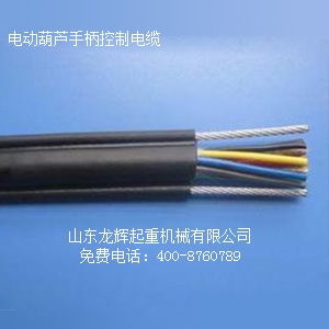 綯«Ƶ  Longhui Company electric hoist control cable