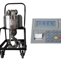 OCS-W5160ӵ OCS-W5160 electronic hook scale