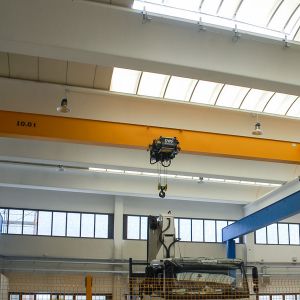 ŵ  giant gantry crane